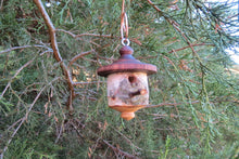 Birdhouse Ornament, Medium, Black Walnut and White Birch