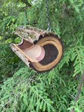 Bird Feeder, Extra-Large Black Walnut Log Bird Feeder
