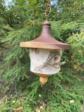 Usable White Birch and Walnut Birdhouse