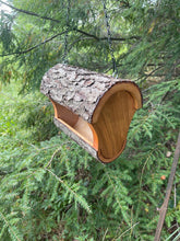 Bird Feeder, Wild Cherry Fly Through Bird Feeder, Medium