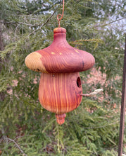 Eastern Red Cedar Acorn-Shaped Usable Birdhouse
