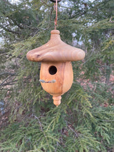 Birdhouse, Catalpa and Ambrosia Maple Acorn Usable  Hardwood Birdhouse
