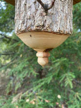 Natural Bark Elm Usable Birdhouse