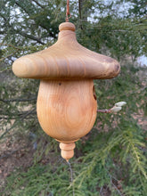 Birdhouse, Catalpa and Ambrosia Maple Acorn Usable  Hardwood Birdhouse