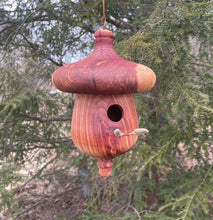 Eastern Red Cedar Acorn-Shaped Usable Birdhouse