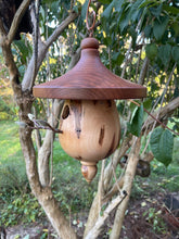 Birdhouse, Elegant Zen Birdhouse Made From Black Cherry and Ambrosia Maple