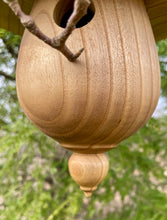 Birdhouse, Catalpa Usable Birdhouse