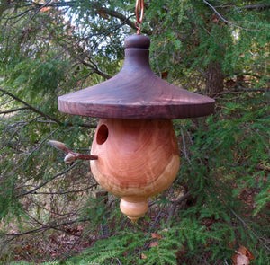 Birdhouse, Walnut and Black Cherry Functional Birdhouse
