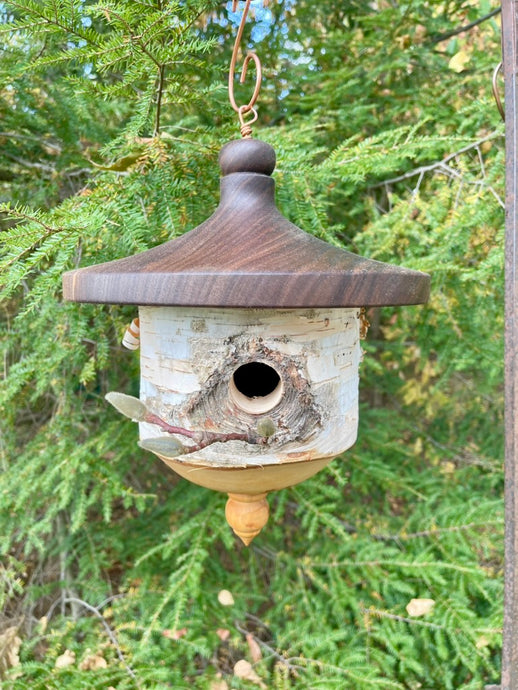 Large White Birch and Black Walnut Usable Birdhouse