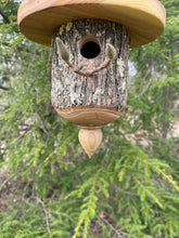 Natural Bark Catalpa Usable Birdhouse