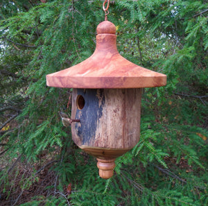 Birdhouse, Elm Barkless Turned Usable Birdhouse