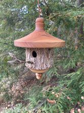 Natural Bark Elm Usable Birdhouse