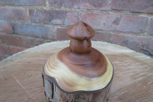 Fairy House, Natural Rustic Yew Fairy House