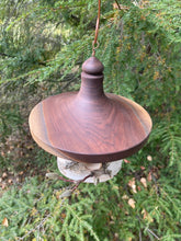 Usable White Birch and Walnut Birdhouse