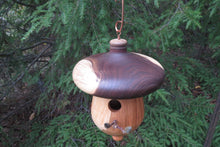 Birdhouse, Acorn Shaped Usable Black Cherry and Walnut Birdhouse