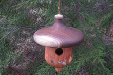 Outdoor Birdhouse, Black Walnut and Cherry Acorn-Shaped Birdhouse