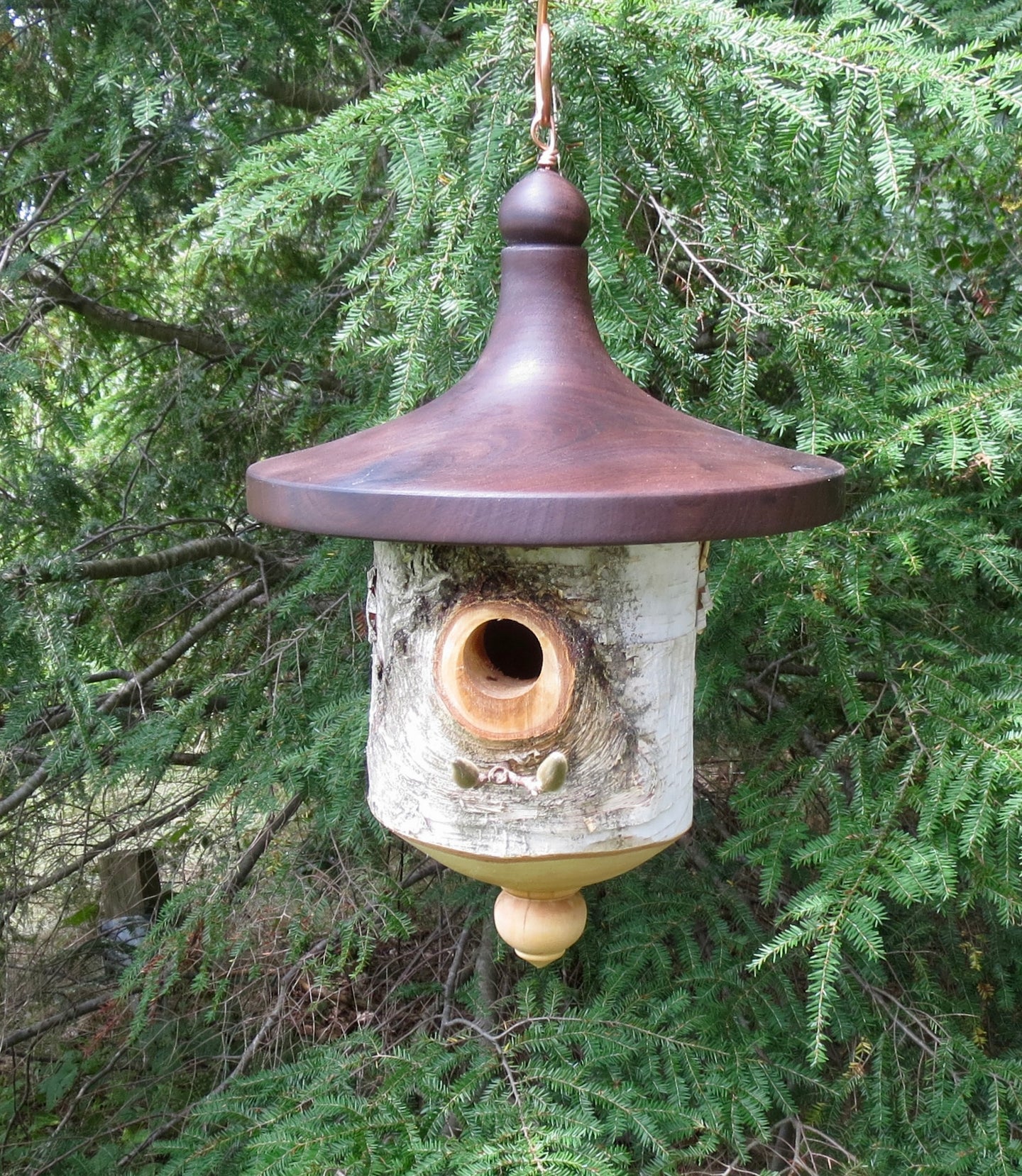 Birdhouse, Large White Birch and Black Walnut Usable Birdhouse