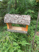 Bird Feeder, Wild Cherry Fly Through Bird Feeder, Medium