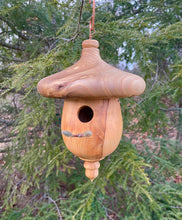 Birdhouse, Catalpa and Ambrosia Maple Acorn Usable  Hardwood Birdhouse