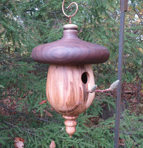 Outdoor Birdhouse, Black Walnut and Ambrosia Maple Acorn Shaped Birdhouse