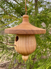 Birdhouse, Catalpa Usable Birdhouse