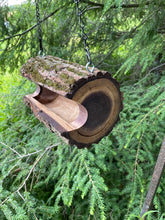 Bird Feeder, Medium Black Walnut Bark Log Bird Feeder