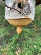 Large White Birch and Black Walnut Usable Birdhouse