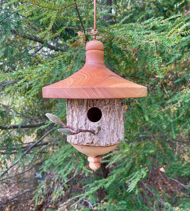 Natural Bark Elm Usable Birdhouse