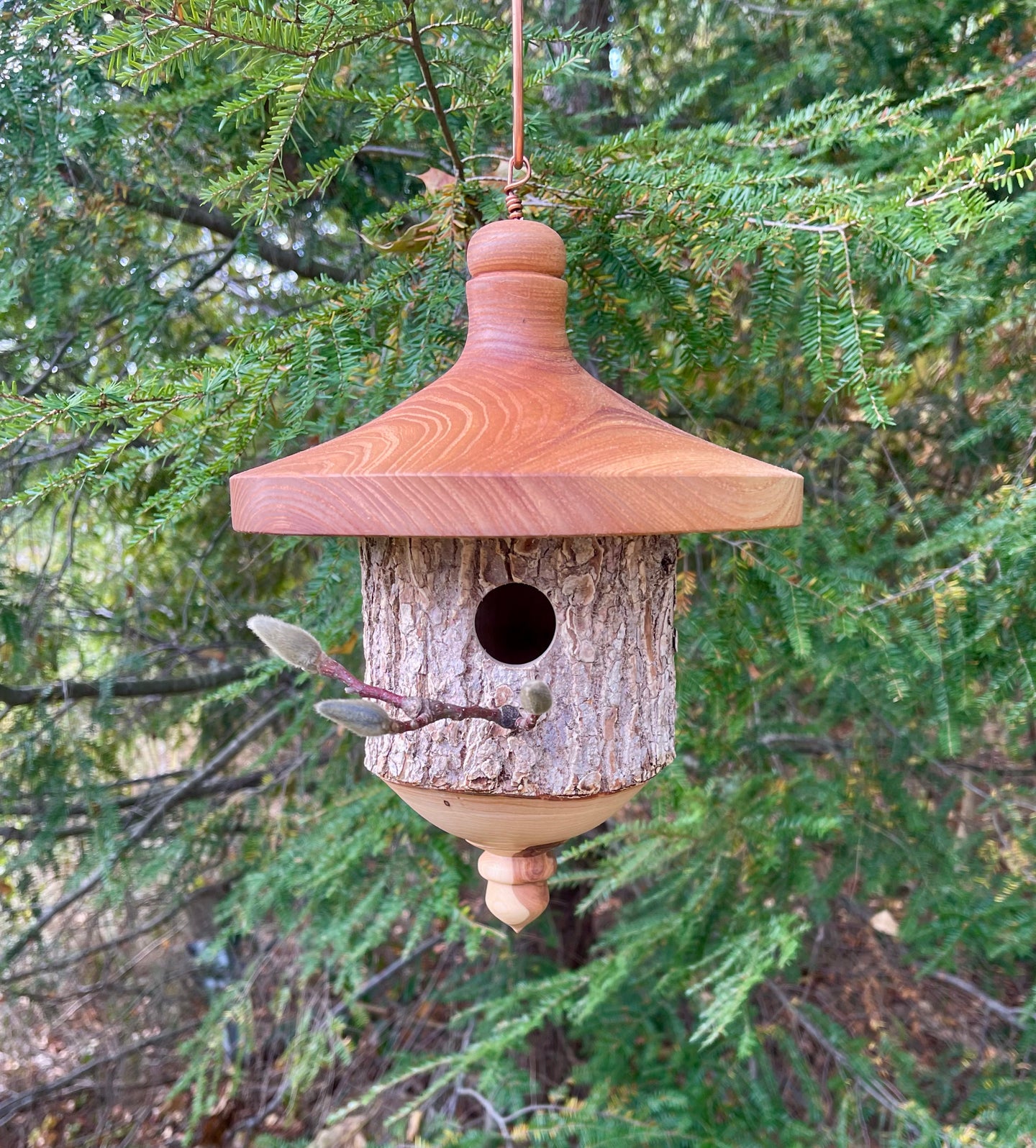Natural Bark Elm Usable Birdhouse