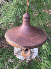 White Birch and Black Walnut Usable Birdhouse