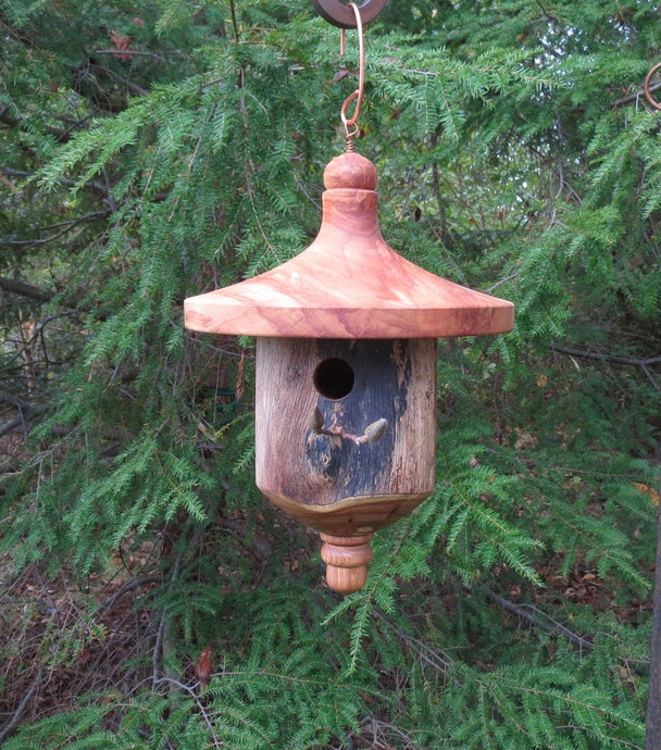 Birdhouse, Elm Barkless Turned Usable Birdhouse