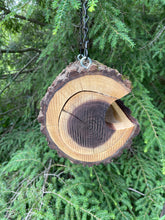 Bird Feeder, Walnut Log Hanging Bird Feeder, large