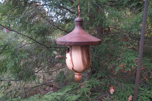 Birdhouse, Black Walnut and Ambrosia Maple Functional Birdhouse