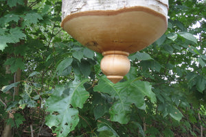 Birdhouse, Large White Birch and Black Walnut Usable Birdhouse