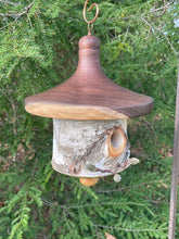 White Birch and Black Walnut Usable Birdhouse