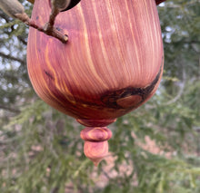 Eastern Red Cedar Acorn-Shaped Usable Birdhouse