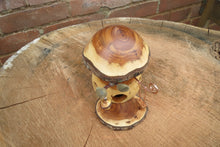 Fairy House With Swing, Yew Mushroom Fairy House