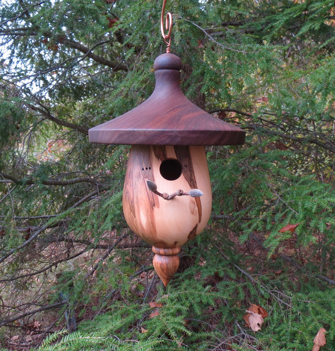Lovely Black Walnut and Ambrosia Maple Birdhouse Created by Schoolhouse Woodcrafts