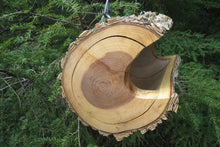 Bird Feeder, Elm Log Hanging Bird Feeder, Medium Small
