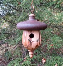 Lovely Black Walnut and Ambrosia Maple Birdhouse Created by Schoolhouse Woodcrafts