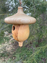 Birdhouse, Catalpa and Ambrosia Maple Acorn Usable  Hardwood Birdhouse