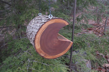 Large Cherry Hanging Bird Feeder,  Our Largest Feeder Ever!