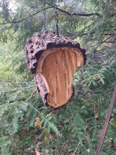 Bird Feeder, Hanging Fly Through Walnut Bird Feeder