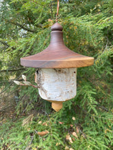 Usable White Birch and Walnut Birdhouse