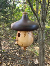 Birdhouse, Acorn Shaped Usable Black Cherry and Walnut Birdhouse