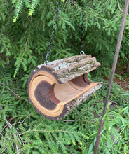 Bird Feeder, Extra-Large Black Walnut Log Bird Feeder