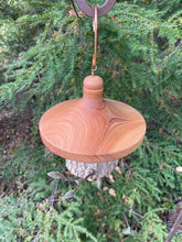 Natural Bark Elm Usable Birdhouse