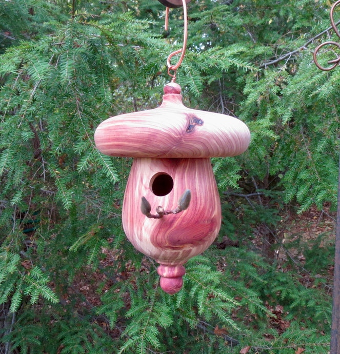 Eastern Red Cedar Acorn-Shaped Usable Birdhouse