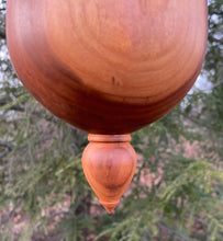 Birdhouse, Black Walnut and Black Cherry Hardwood Outdoor Birdhouse