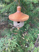 Natural Bark Elm Usable Birdhouse